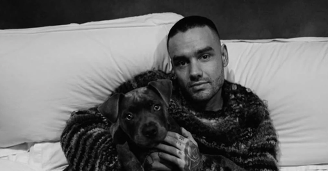 П’ятьох людей звинувачено у смерті ексучасника One Direction