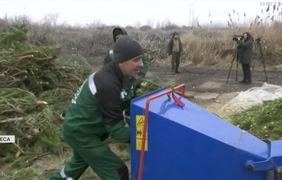 В Одесі протягом січня комунальники приймали у населення сухі ялинки: що з ними робили потім