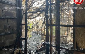 У Євпаторії згорів зоопарк, загинуло понад 200 тварин (відео)