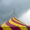 Мінкульт підтвердив право на бронювання для працівників цирку