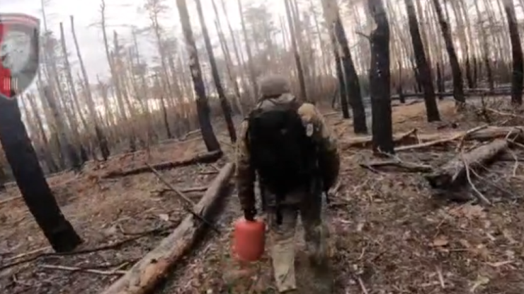 Серебрянський ліс / Фото: скриншот з відео