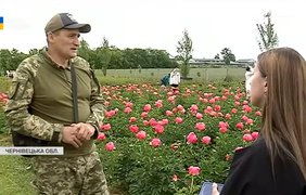 На Буковині розквітло найбільше поле півоній в Україні