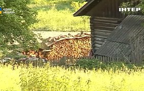 На Буковині вже активно запасаються дровами