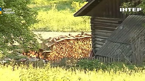 На Буковині вже активно запасаються дровами