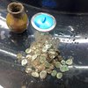 На Одещині знайшли "Флоранський скарб" зі срібними монетами (фото)