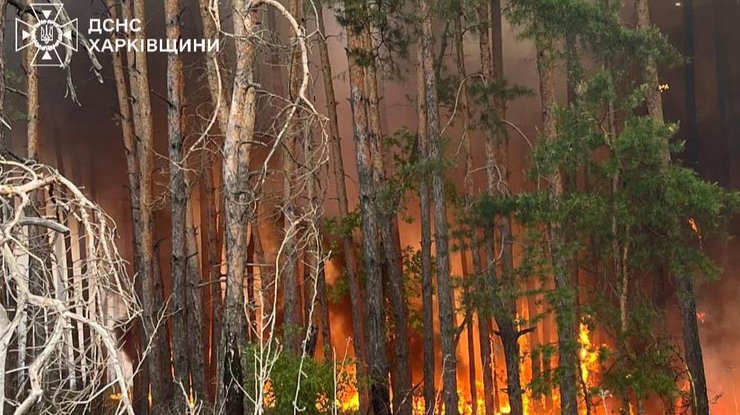 Фото: ДСНС
