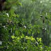 Мінлива хмарність та дощі: прогноз погоди в Україні на 3 червня