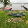 Масовий мор сомів стався на Дніпровському водосховищі