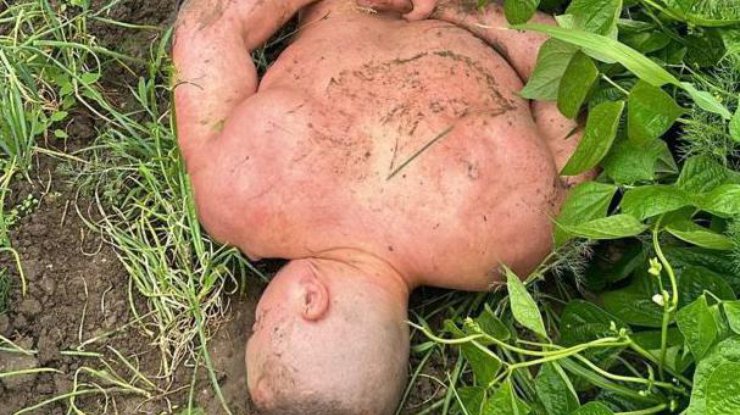 Фото: поліція
