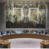 Раду безпеки ООН поповнили нові члени