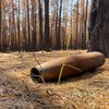 На Харківщині через війну з початку року вигоріло 9 тисяч гектарів лісу - Стрілець (відео)