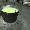 Вибухи й блекаути: як виживає тваринництво під час війни
