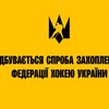 Федерація хокею України заявила про спробу захоплення
