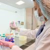Продовжує життя мишей на 25%: вчені успішно випробували сироватку