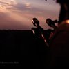 Масштабного скупчення військ ворога на кордоні з Сумщиною чи Чернігівщиною не спостерігається - ОК "Північ"