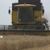 На Запоріжжі стартували жнива: як безпечно зібрати врожай