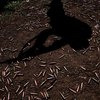 На "Россия 24" показали відео, як російський військовий вбиває пораненого товариша