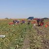 У Польщі виникає дефіцит робочої сили через скорочення міграції українців
