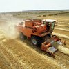 Через спеку погроз врожаю потрібно зменшувати на 3 млн тонн до 72 млн тонн - Плетенчук (відео)