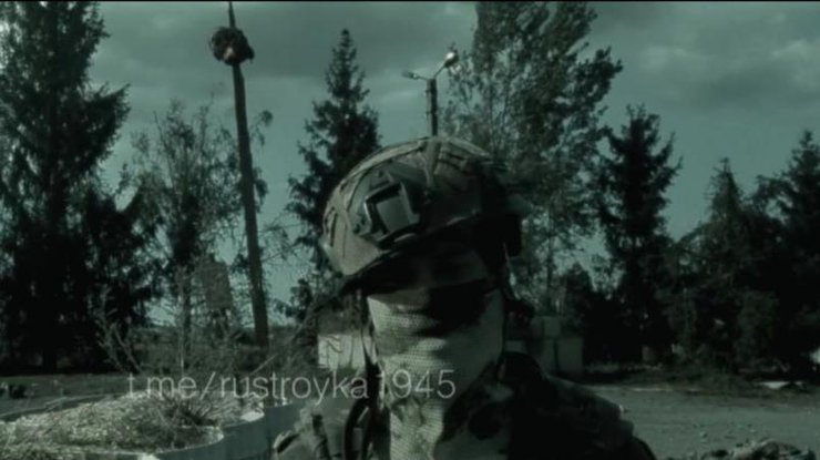 Кат з відео