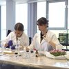На Хмельниччині відкрили літню школу для обдарованих дітей