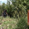 В Україні затвердили нову професію - демінер