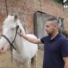 З Харківщини евакуювали 13 коней до Кропивницького