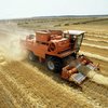 Через спеку врожай кукурудзи, сої та соняшника буде меншим на кілька мільйонів тонн - Всеукраїнська аграрна рада (відео)
