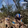 Найінтенсивніші бої на Покровському відтинку: що відбувається на фронті