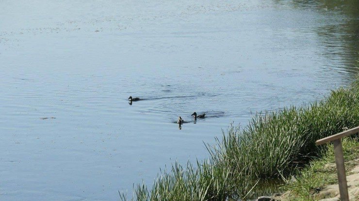 Отруєна вода наближається до столиці