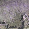 У Харківській області через нічний обстріл пошкоджені будинки, підприємство і будівля ДСНС
