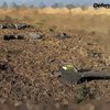ЗСУ вперше збили "шахед" зі встановленим Starlink