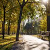 Наприкінці вересня в Києві зафіксували ще три температурні рекорди