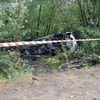Їхали на відпочинок: в Одеській області в ДТП загинули діти (фото)