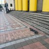 Біля Верховної Ради упали уламки російських дронів (фото)