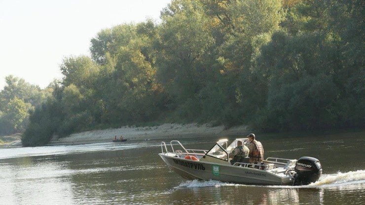У Чернігові в Десні почався мор риби