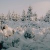 11 січня: яке сьогодні свято, головні заборони та прикмети