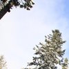 13 січня: яке свято, прикмети та заборони 