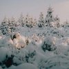 14 січня: яке сьогодні свято, прикмети та заборони 