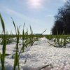 Погода на вихідні  18-19 січня: синоптики прогнозують тепло