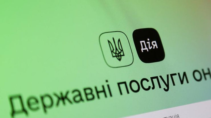 Портал "Дія" на комп'ютері. УНІАН/Віктор Ковальчук