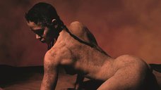 Ірина Шейк, Тільда ​​Суінтон та Вінус Вільямс знялися для календаря Pirelli 2026