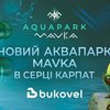 В  Україні відкрився перший ліцензійний аквапарк Mavka