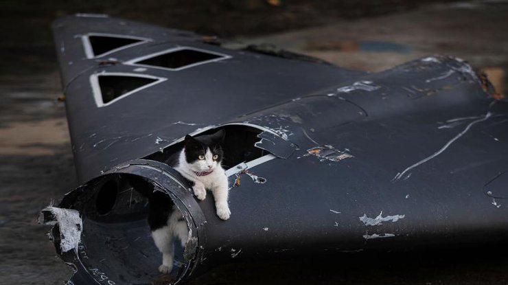 Фото: Getty Images