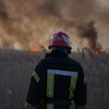 Масштабна пожежа в Одеській області через вітер перекинулась на нацпарк (фото, відео)