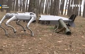 Робопес на службі: як він рятує життя саперів і розміновує Сумщину