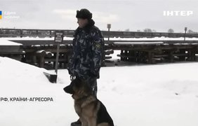 Пекло для бранців: як змусити рф дотримуватися прав полонених