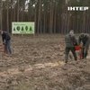 На Рівненщині рятують знищений "селянський" ліс