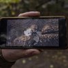 Reuters дізнався, скільки північнокорейських солдатів убито на війні в Україні