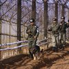 У Криму помітили північнокорейські гармати: ЗМІ допускають можливе перекидання військ